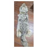 Coyote Pelt