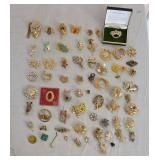 Costume Jewelry Pins