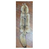 Coyote Pelt