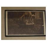 Vintage Pets of Star Lake Inn Photograph