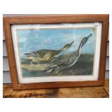 1- Framed Advertising Wall Dï¿½cor (Fishhook