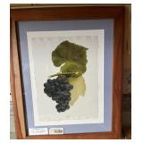 Framed Grape Dï¿½cor (Fishhook Frames) #2