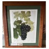 Framed Grape Dï¿½cor (Fishhook Frames) #3