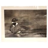 Print: Loon by Tom Lenweaver