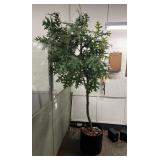 1- Artificial Tree