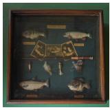 American Angling Shadow Box