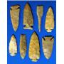 Arrowheads and Artifacts auction