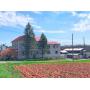 6 BR FARM HOUSE W/DETACHED GARAGE & IN-LAW QUARTERS ON .64 ACRES