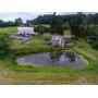 13+/- ACRE FARMETTE W/PONDS & .92 +/- ACRE PARCEL (Offered Separately)