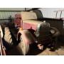 ANTIQUE TRUCKS, TRACTORS, FARM EQUIP. HIT & MISS ENGINES, HORSE-DRAWN CARRIAGES, WAGONS & TREASURES