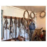Horse Tack & Related Items