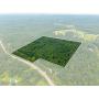 38+ Ac Perry Co (Derby) Land Online Only Auction