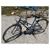Schwinn Suburban Women