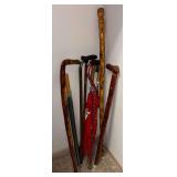 Walking Sticks & Umbrellas