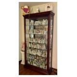 Modern Lighted Display Cabinet