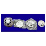 Silver Eagle Coins, qty-13
