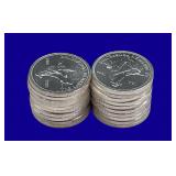 20 Ounces of Silver Rounds