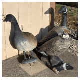 Concrete & Plastic Geese