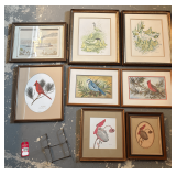 Collector Framed Prints