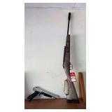 Pellet Guns