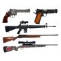 Summer 200+ Firearms & 350+ Accessories Online Only Auction