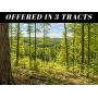 131+ Ac Washington Co Wooded Land (Hunting & Recreational) Online Auction