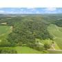 131+ Ac Washington Co Wooded Land (Hunting & Recreational) Online Auction