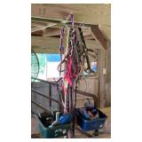 Assorted Horse Halters, Brushes, & Related Items