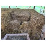 Grass Hay Square Bales