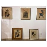 5 Audubon Bird Framed Prints