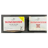 Winchester 20 Gauge Slugs