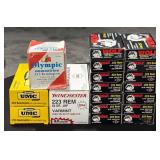 .223 Ammo