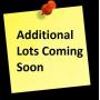 October 240+ Firearms & 200+ Accessories Online Only Auction