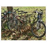 Bicycle Collection