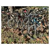 Bicycle Collection