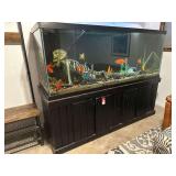 Massive Fish Tank/Aquarium
