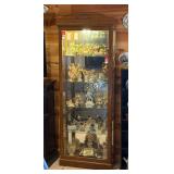 Lighted Curio Cabinet