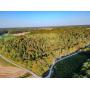 112 Acres of Woods at Live Auction