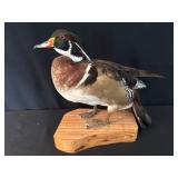 Stuff duck