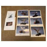 Prints of birds