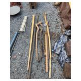Walking sticks