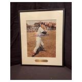 Ted Williams Baseball signed photograph