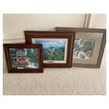 Framed Germany Castle, assorted Pictures