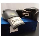 Boxing gloves