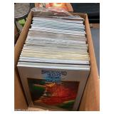 Brickyard 400 officials programs