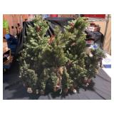 14 Small artificial Christmas trees
