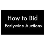 Video on How to bid