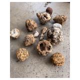 Geodes and Rocks