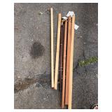 Walking Sticks