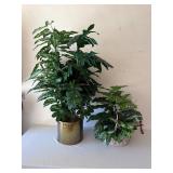 2 Faux Plants